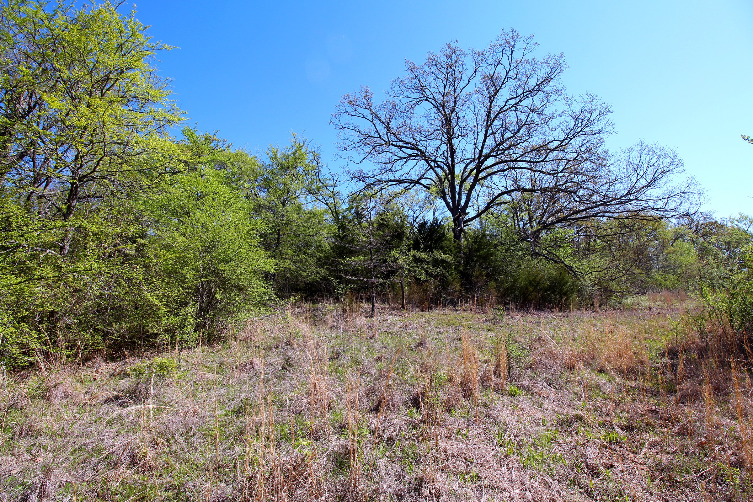 <B>Located within the City Limits of Okmulgee and adjacent to the Oklahoma State University Institute of Technology</b>, this property offers a lot of potential for investors. With 153.73 acres available, there is an investment opportunity for this property! The property has frontage on the north along E 4th Street and US Highway 62 on the southern boundary, along the east and west sides are numerous access points provided by city streets. Multiple ponds are present on the property, which could make very attractive water features. Mature timber, open grassy areas and dense foliage make up the balance of the property, creating an opportunity for a very private setting within city limits.  - 153 Total Acres in Okmulgee, Oklahoma